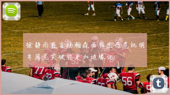 徐静雨直言杨瀚森面临生存危机明年若无突破将更加边缘化